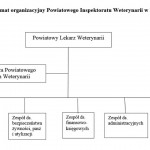 Powiększ zdjęcie Schema struktury organizacyjnej urzędu
